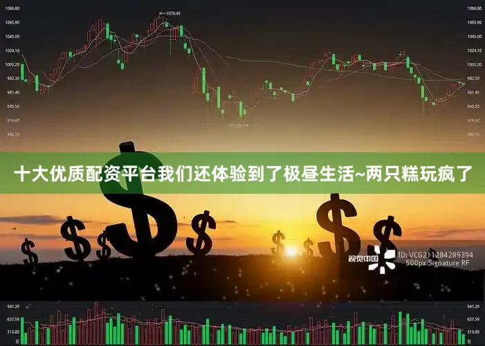 十大优质配资平台我们还体验到了极昼生活~两只糕玩疯了