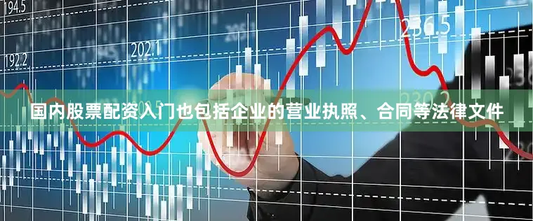 国内股票配资入门也包括企业的营业执照、合同等法律文件