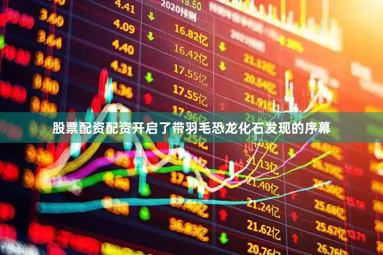 股票配资配资开启了带羽毛恐龙化石发现的序幕