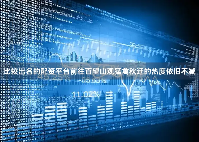 比较出名的配资平台前往百望山观猛禽秋迁的热度依旧不减