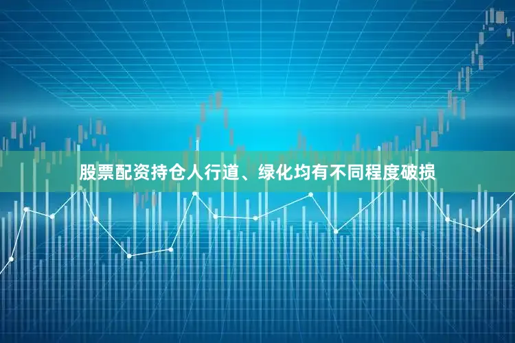 股票配资持仓人行道、绿化均有不同程度破损